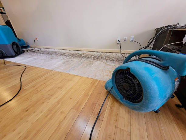 Professional Flood Damage Cleanup technician working in Coloma, MI